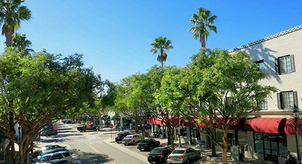 south-bay